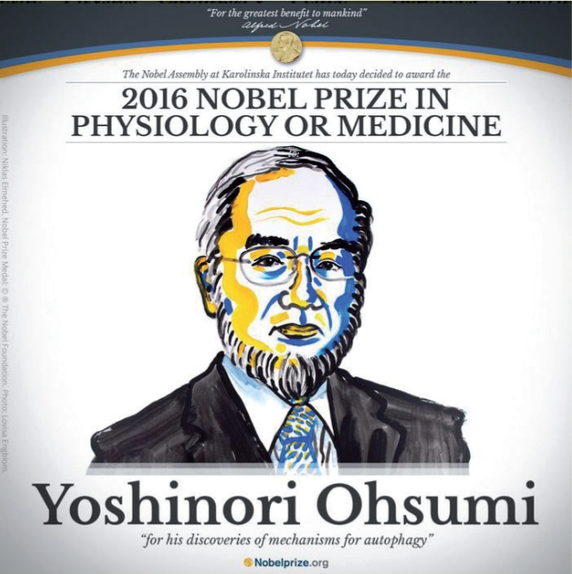Portrait de Yoshinori Oshumi, prix Nobel de médecine 2016 pour ses recherches sur l'autophagie